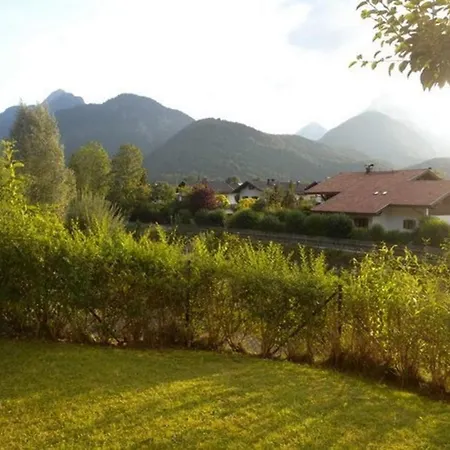 Sonnenblume -607- * Mittenwald
